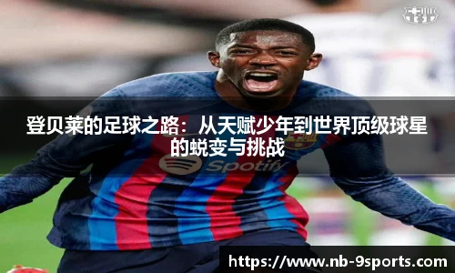 九游体育登录入口